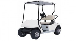Electric Carts & Vehicles